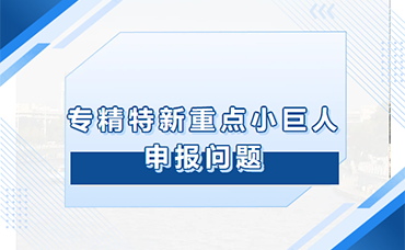 母公司、子公司、分公司的区别与联系及“重点小巨人”项目申报中的财务数据分类与规划-浙江科林企业管理咨询有限公司